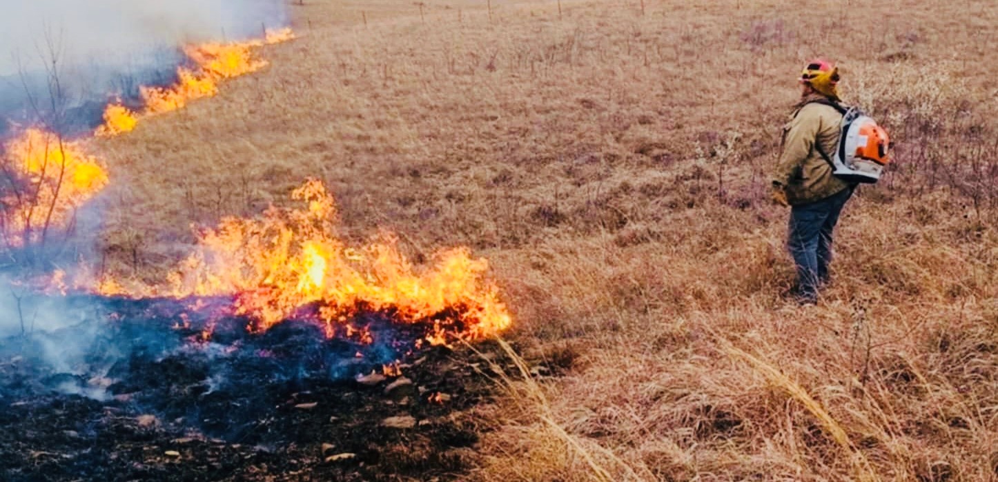 Grass fire.jpg