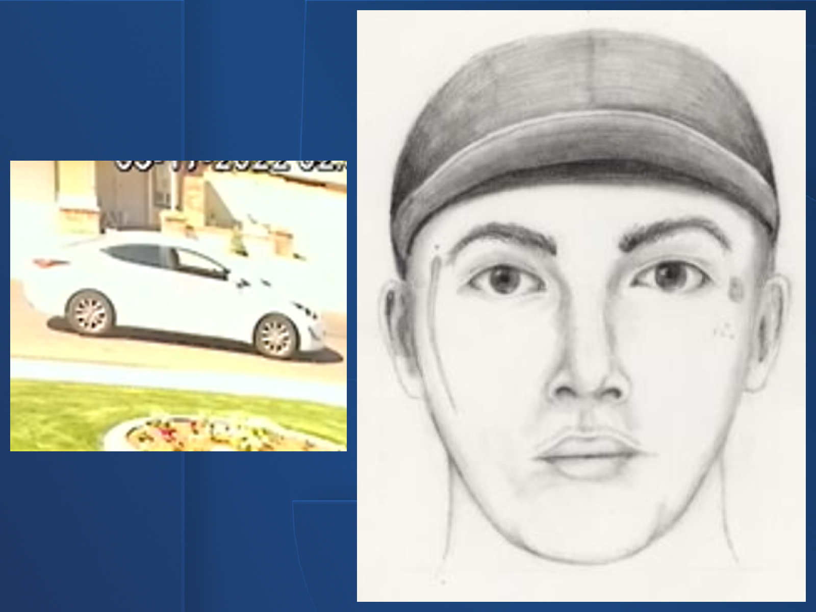 Blue Background copy 6.jpeg