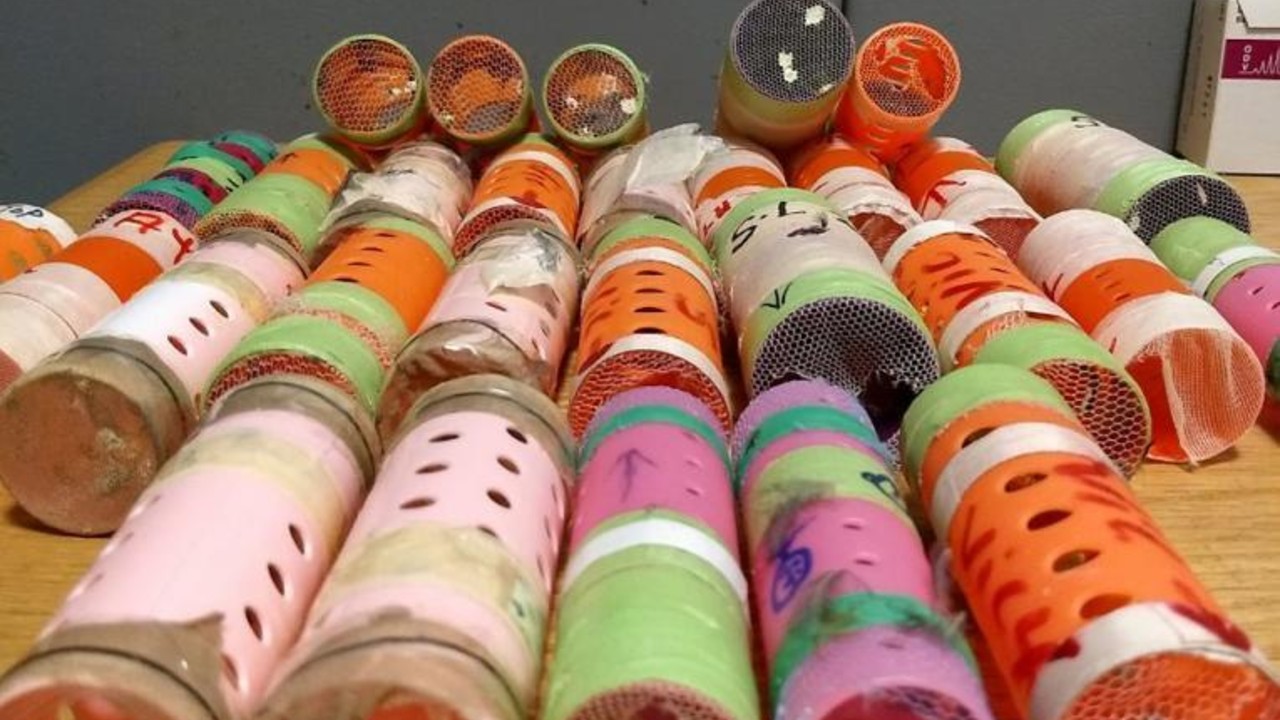 HairRollers.jpg