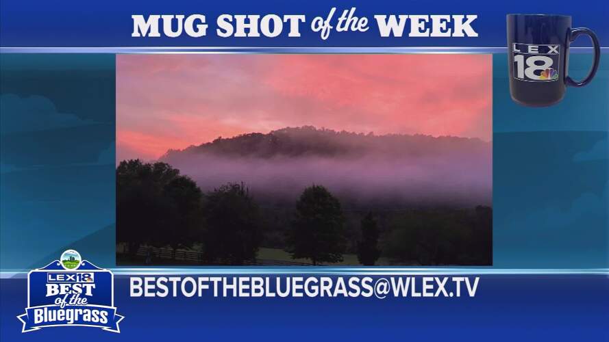 Mugshot of the Week