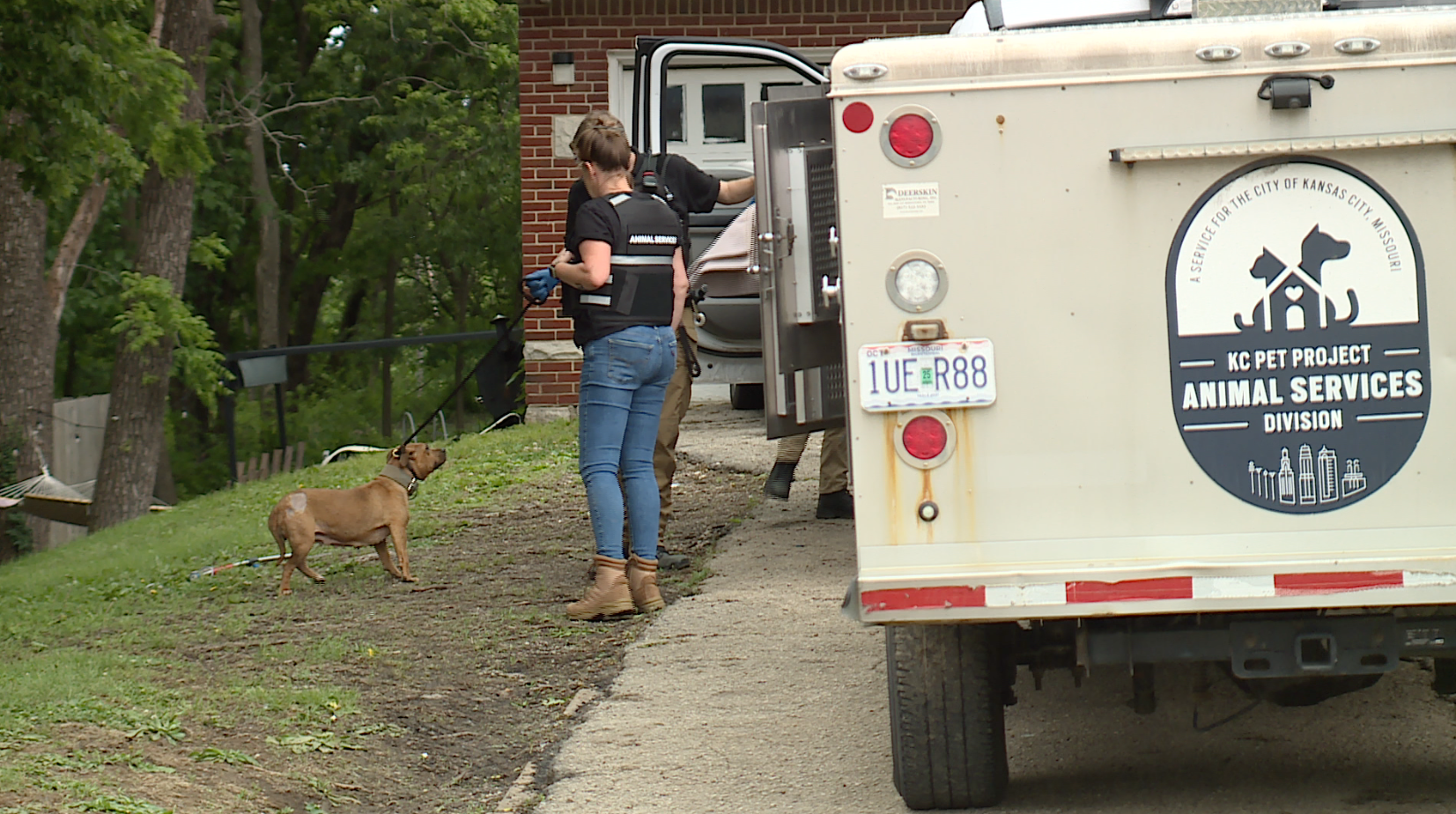 Federal Dog Fighting Warrant.png