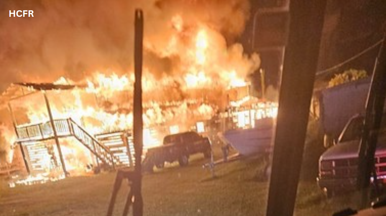 Fire kills dogs in Plant City