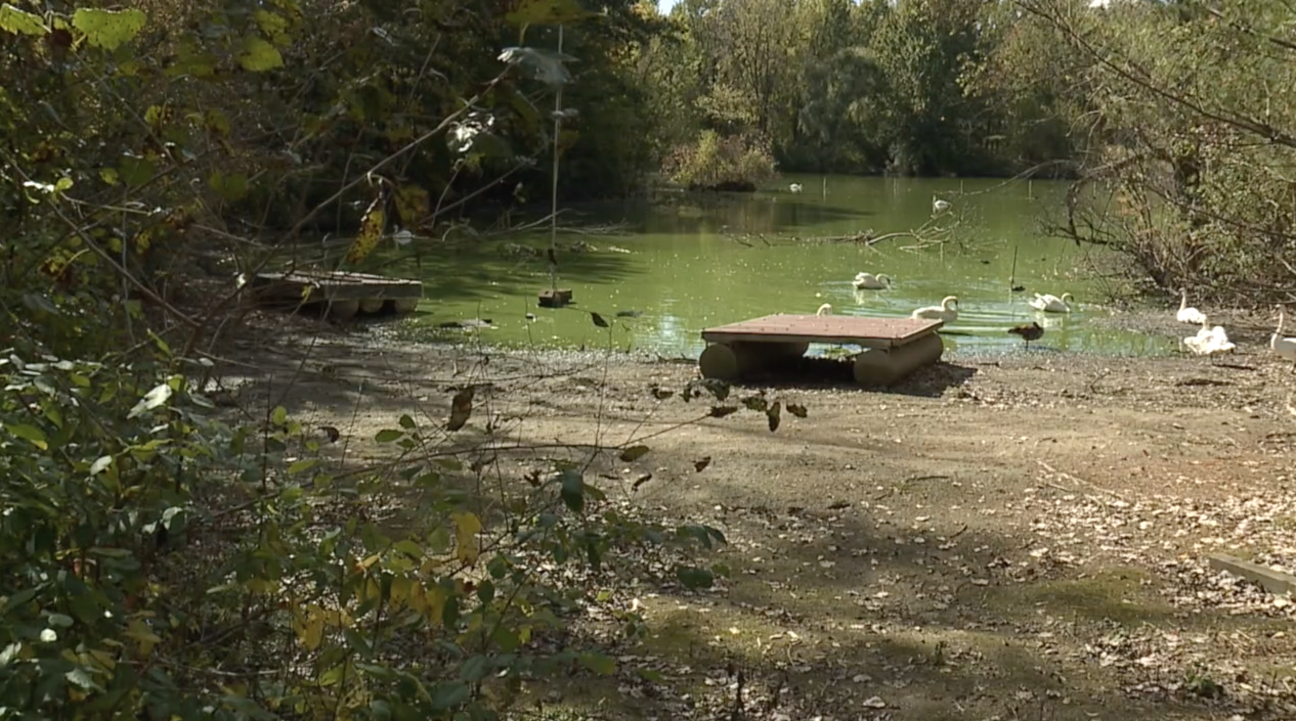 Screenshot 2025-10-09 at 8.12.29 PM.png