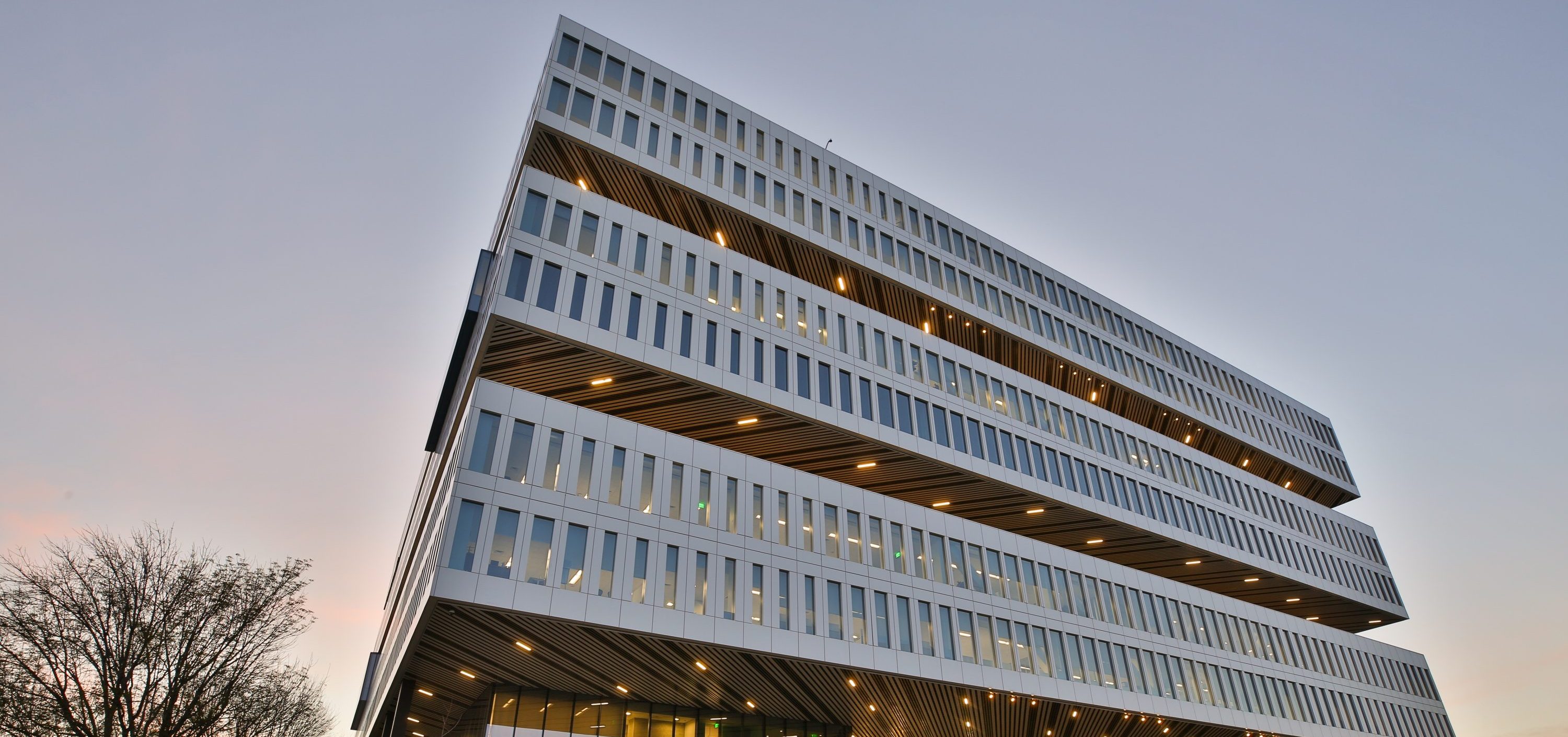 Samsung building.jpg