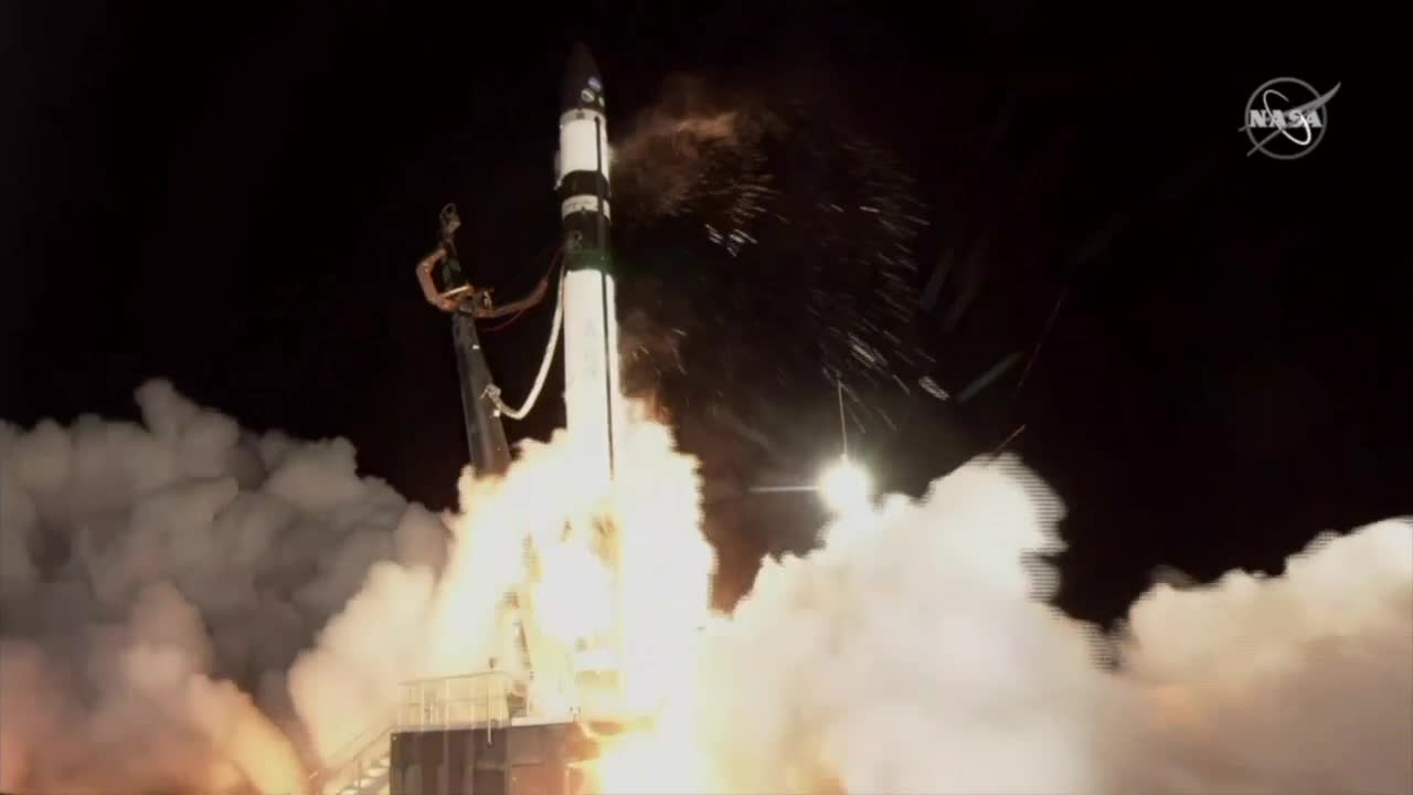 Can squirrels help people travel through space? - Vimarsana News