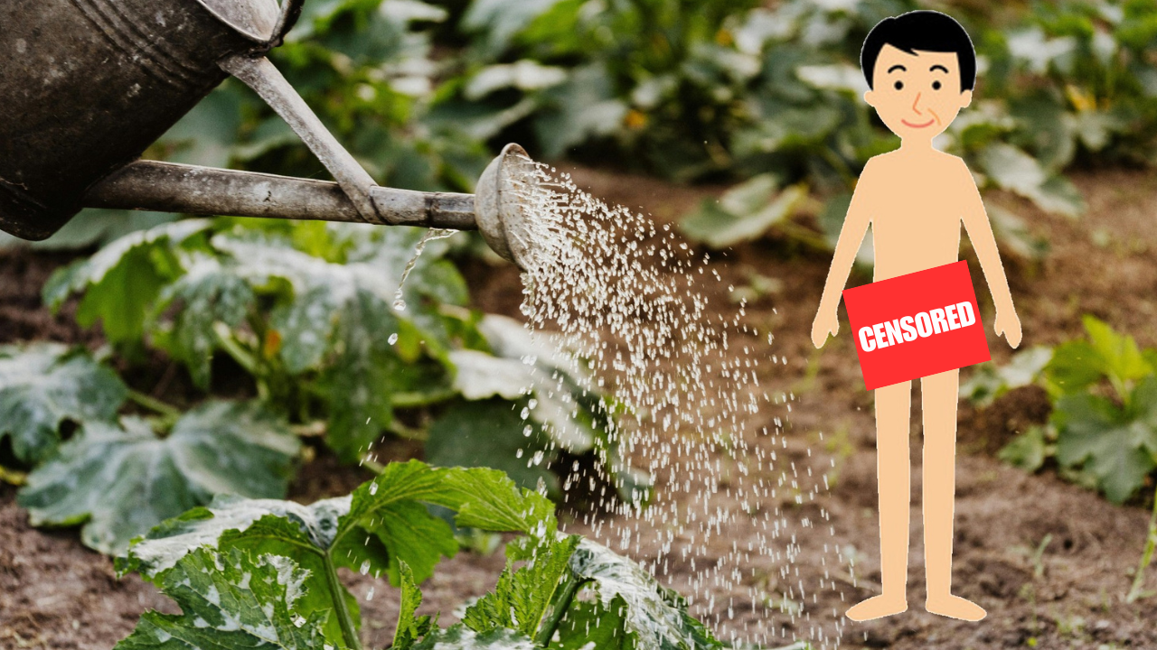 Naked Gardening.png