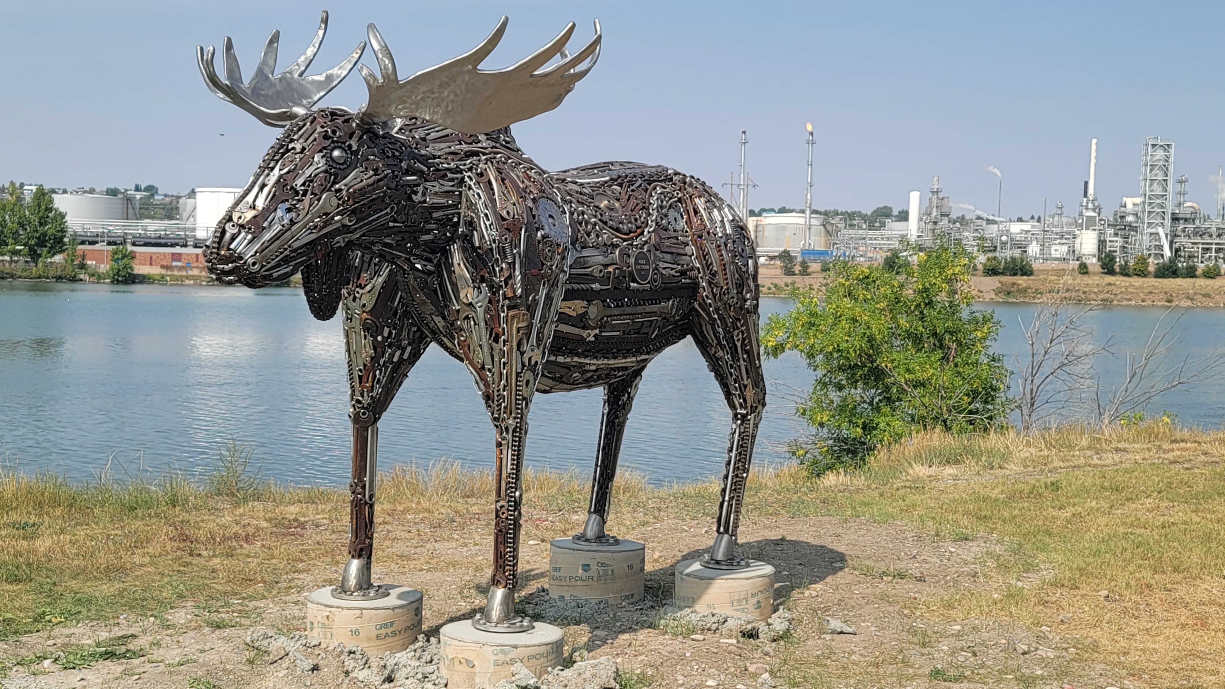 moose alex smithson.jpg