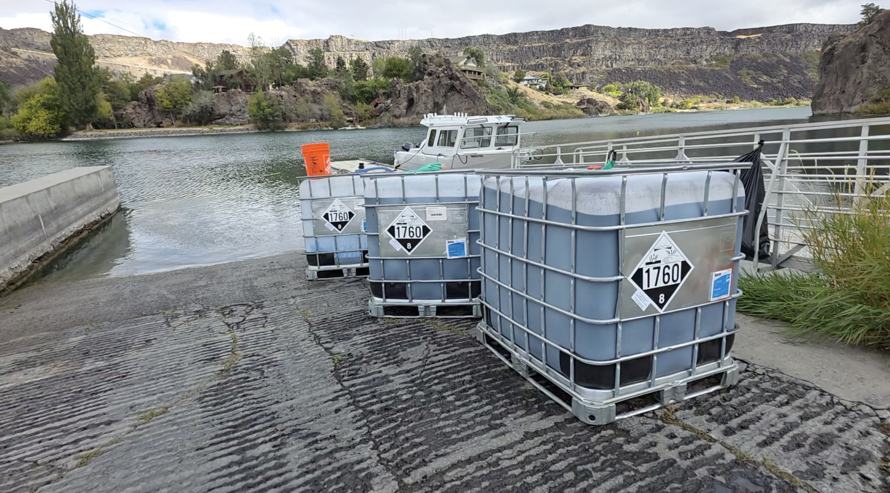 "The lesser of two evils"; Quagga mussels not the only casualties of eradication efforts