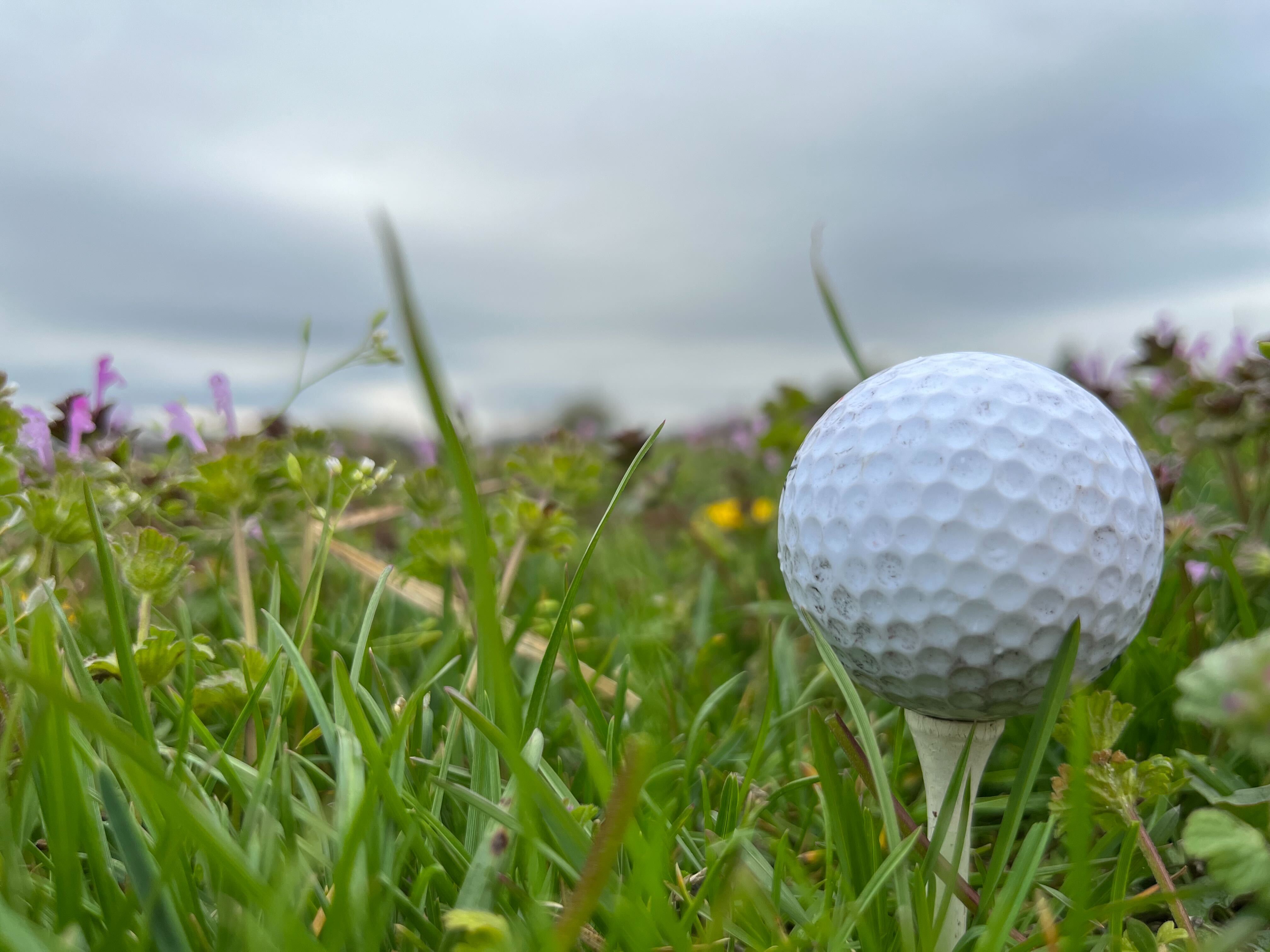 golf.jpg