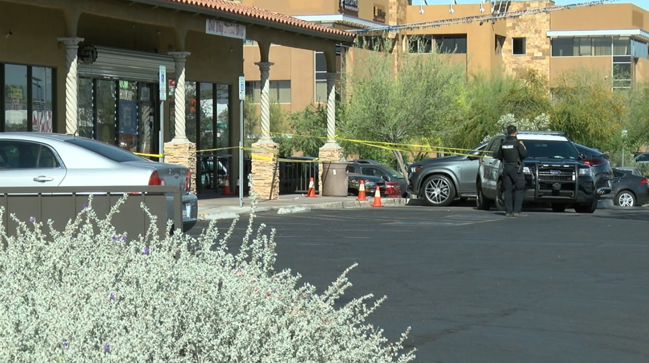 wildcat smoke shop.PNG