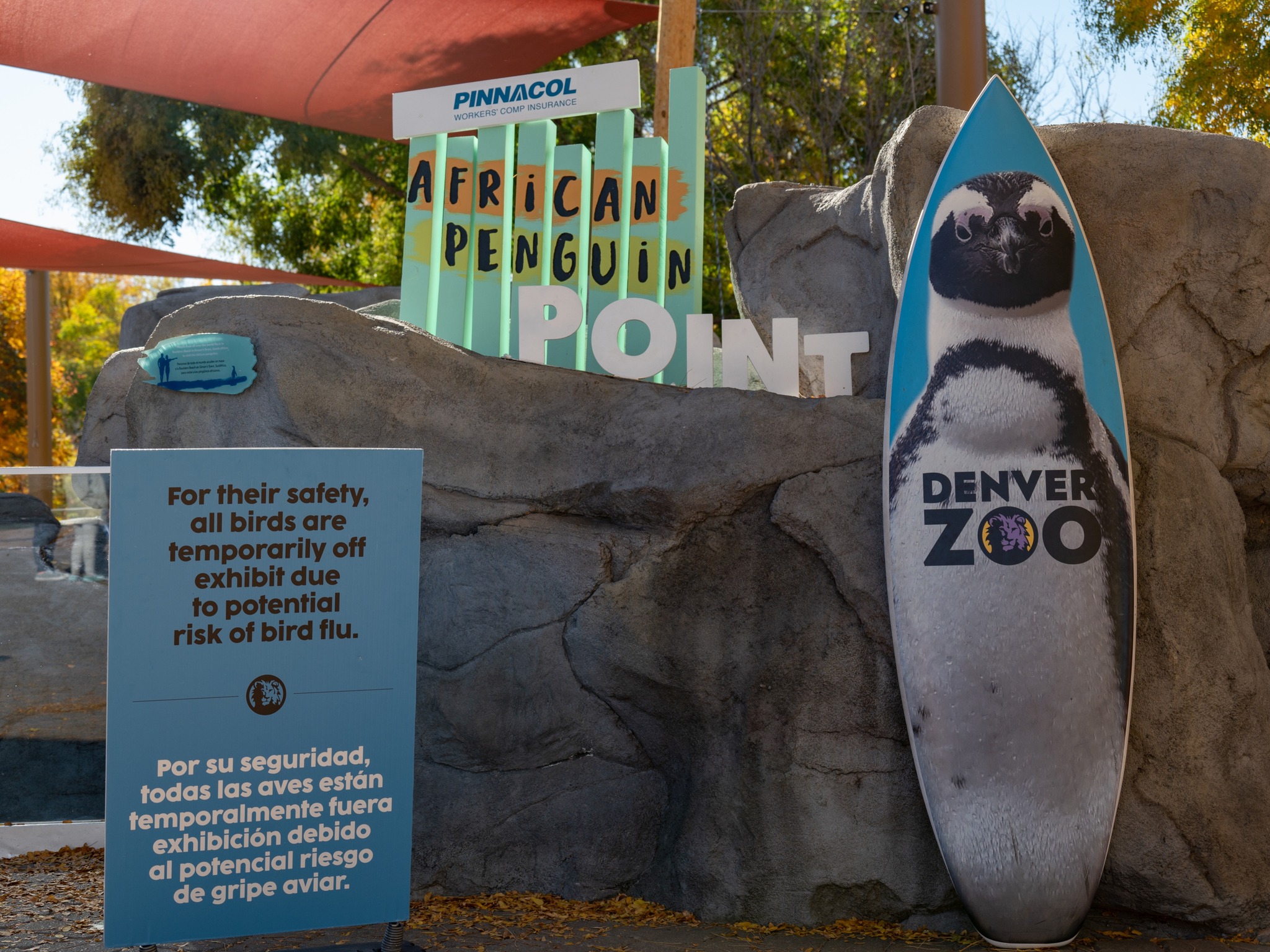 Two birds who died at Denver Zoo test positive for avian flu