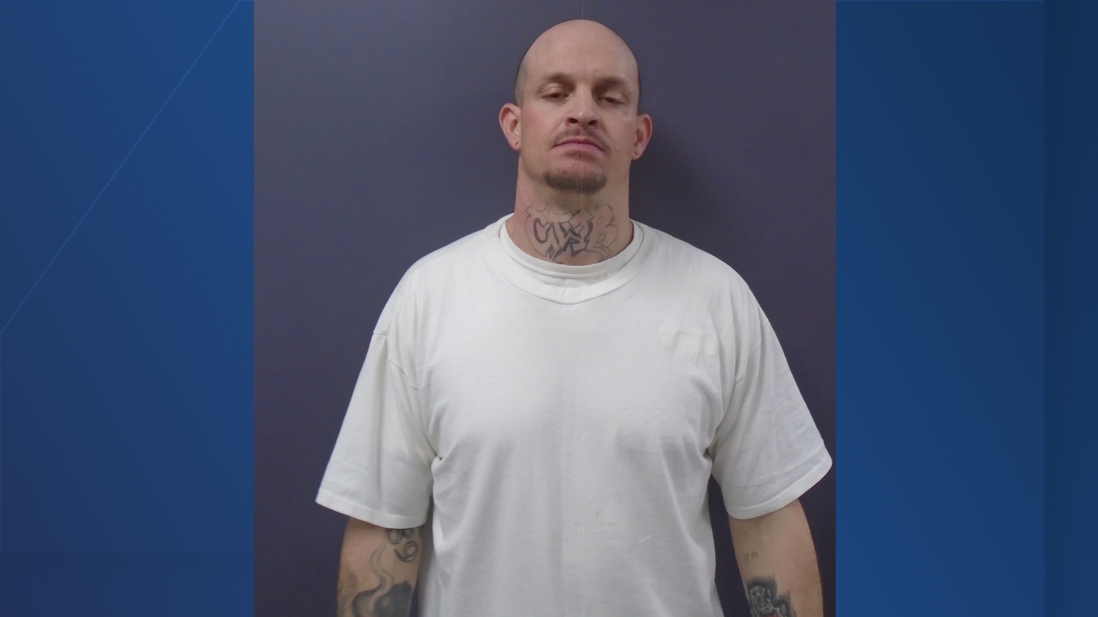 escapee anthony mansfield