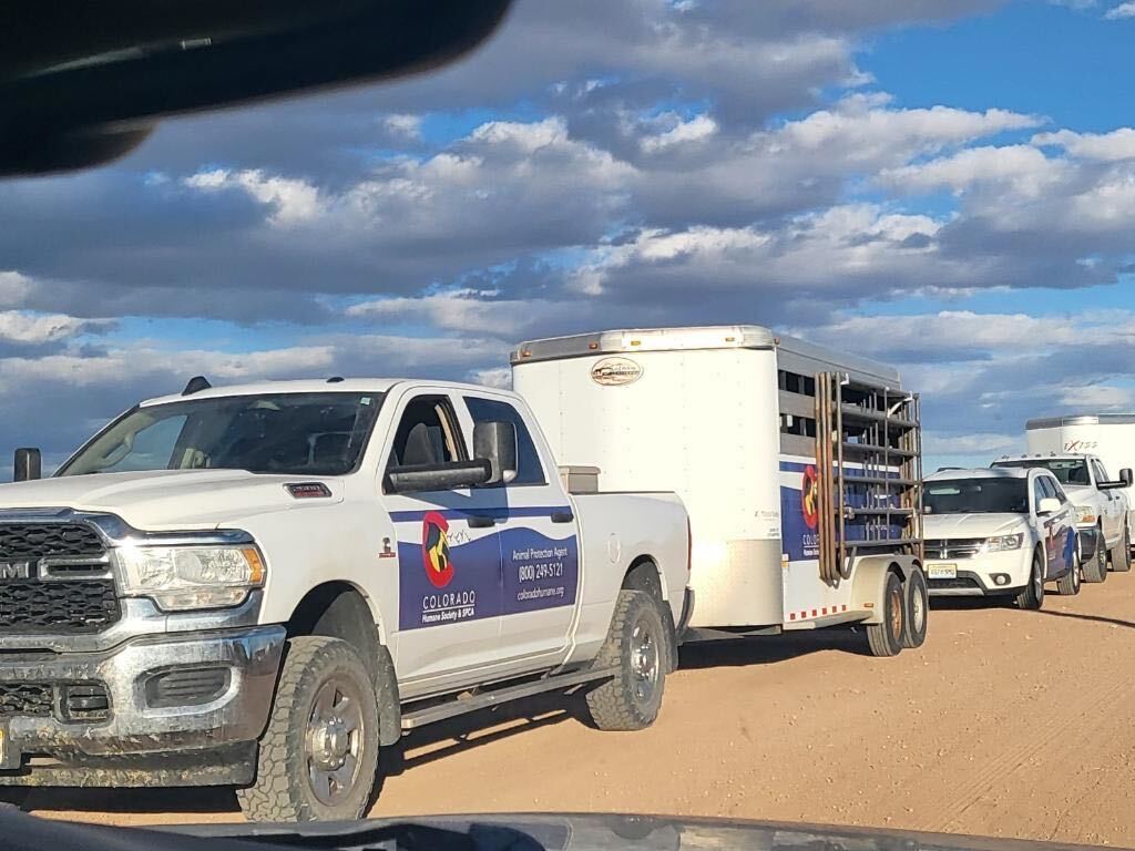Colorado Humane Society 