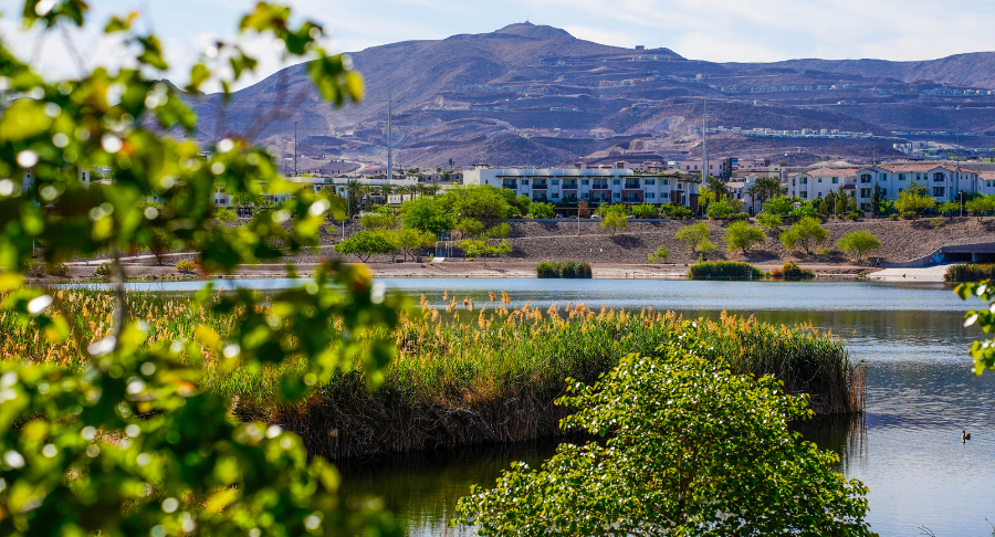 Henderson encourages locals to snap nature photos at upcoming events