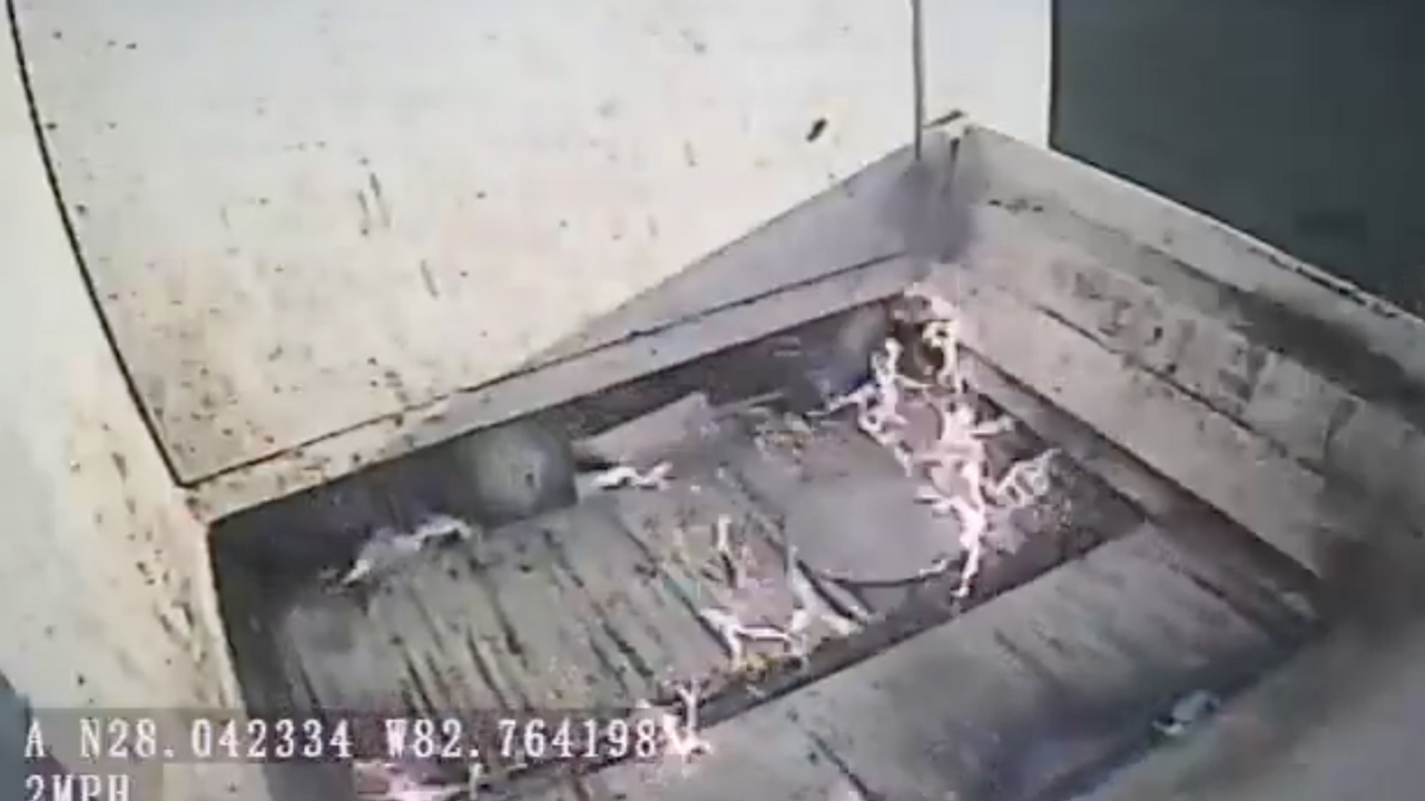 Dunedin garbage truck fire.png