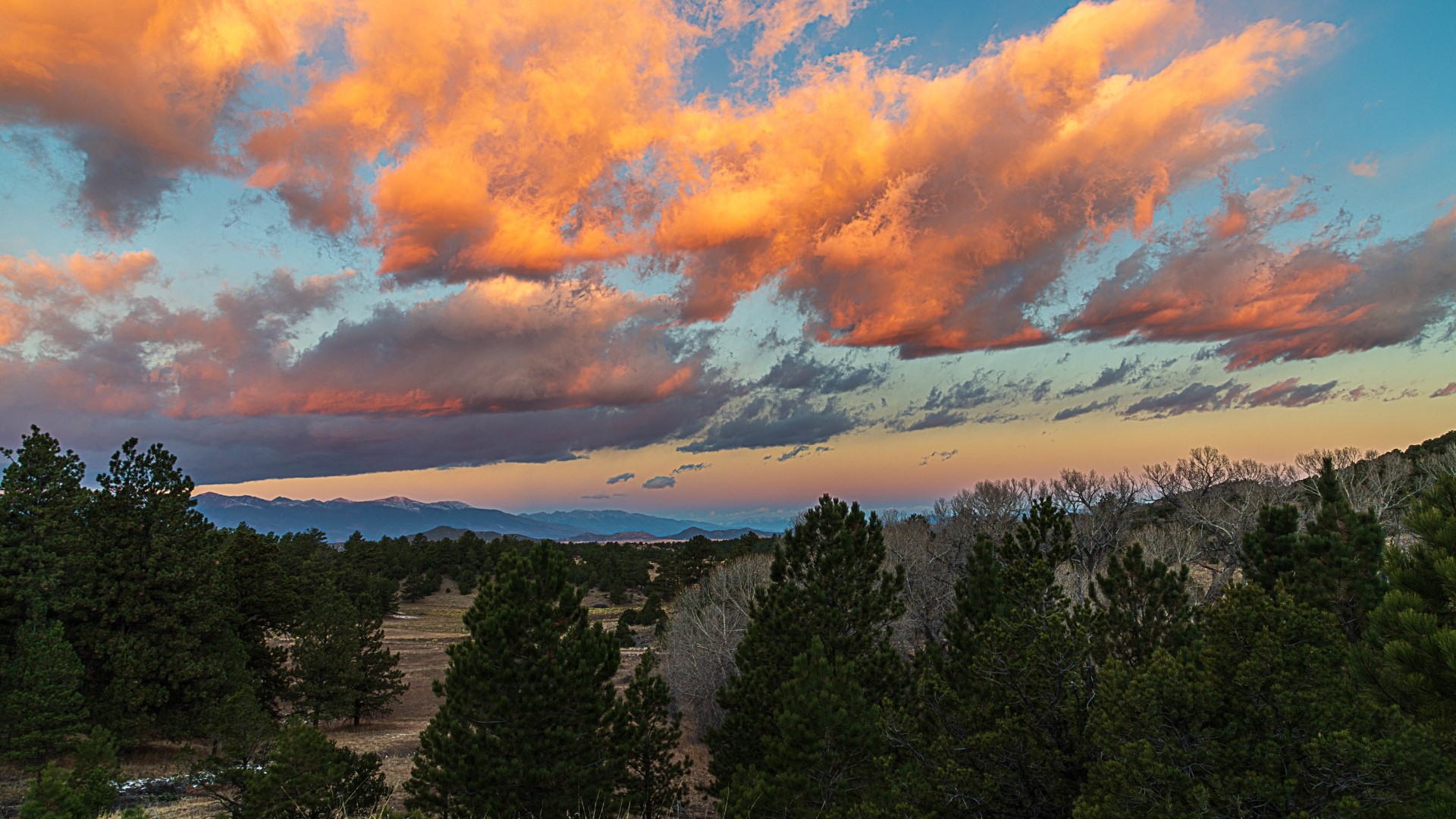Wet Mountain Valley