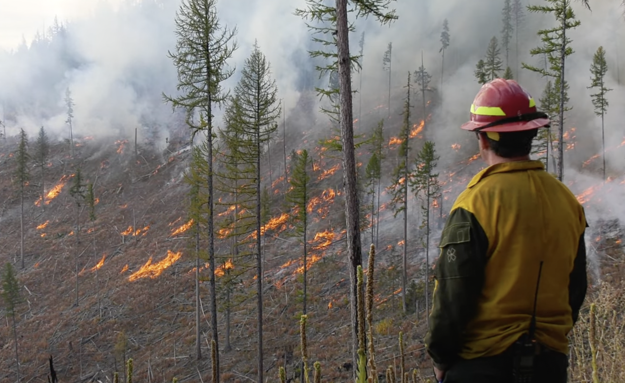 Prescribed Fire 