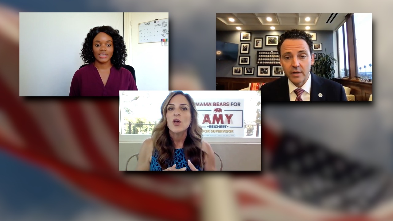 SD County's Fourth Supervisorial District candidates