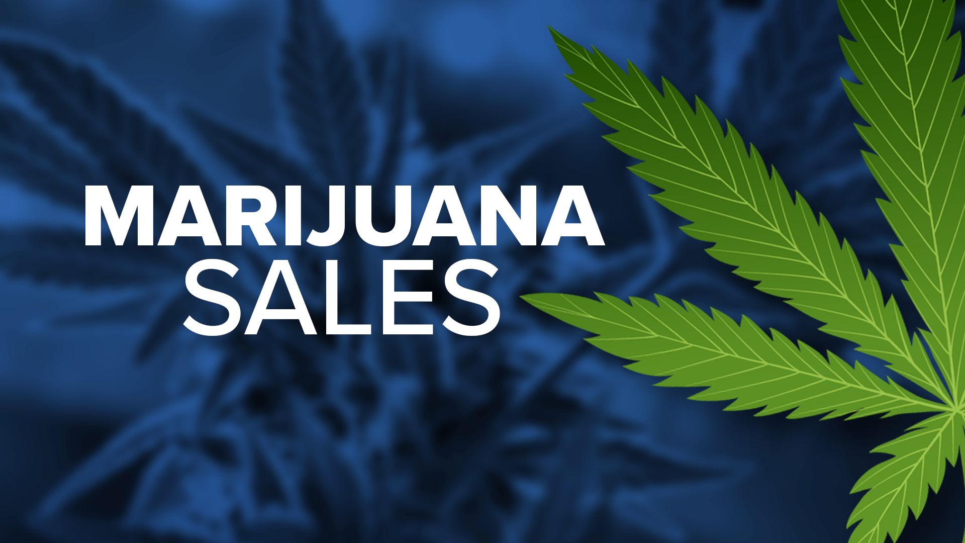 Generic GFX Marijuana Sales in Montana (MTN News)