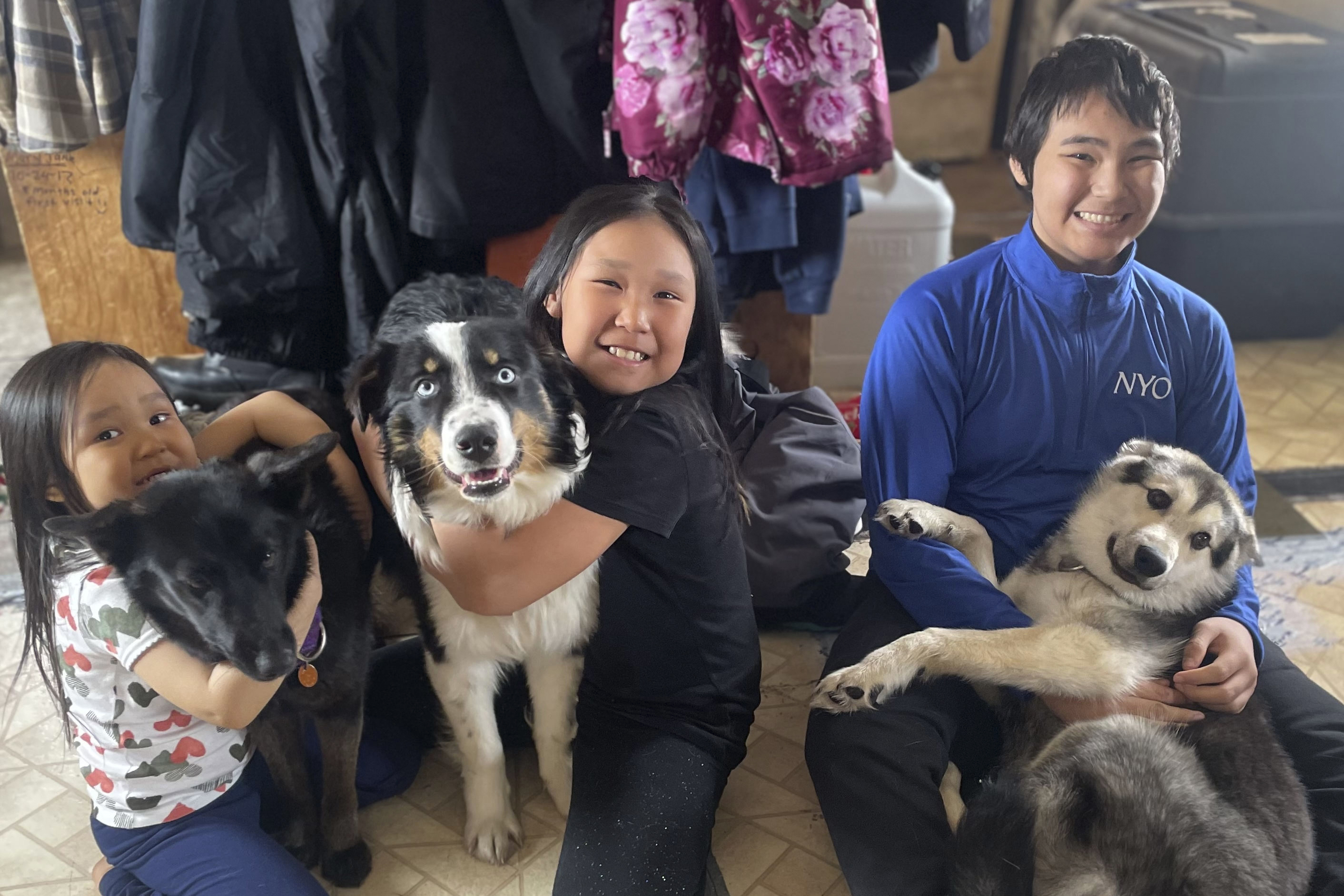 ODD-Alaska-Dog-Sea-Ice-Journey