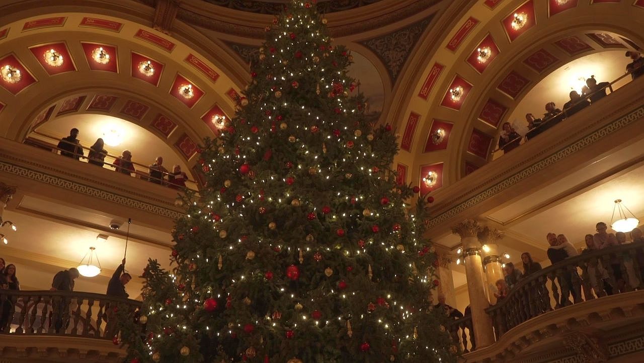 capitol tree 2024.jpg