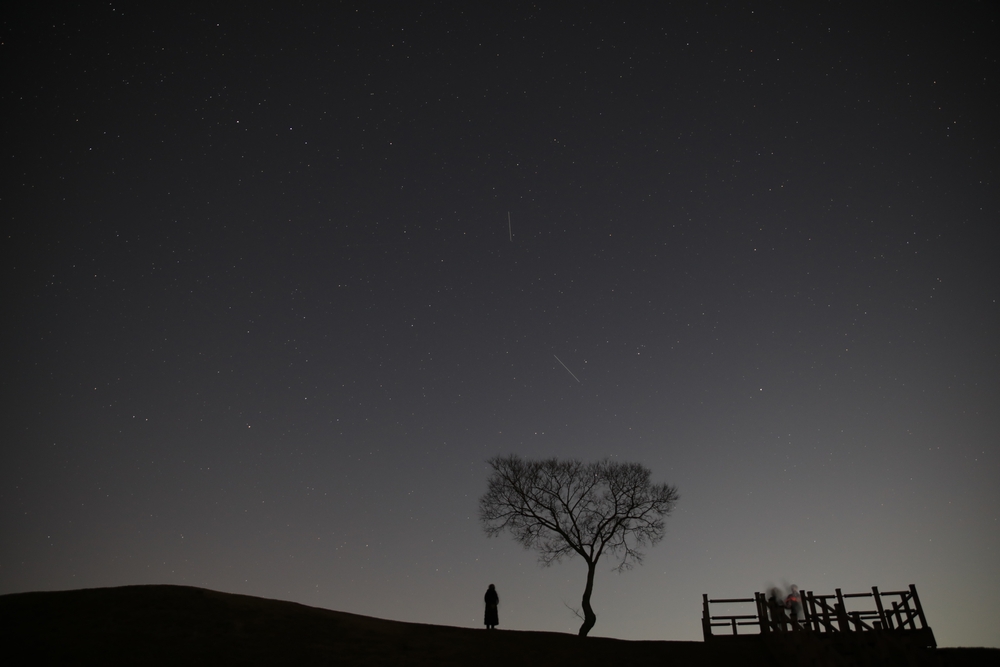 A moonless night sky.