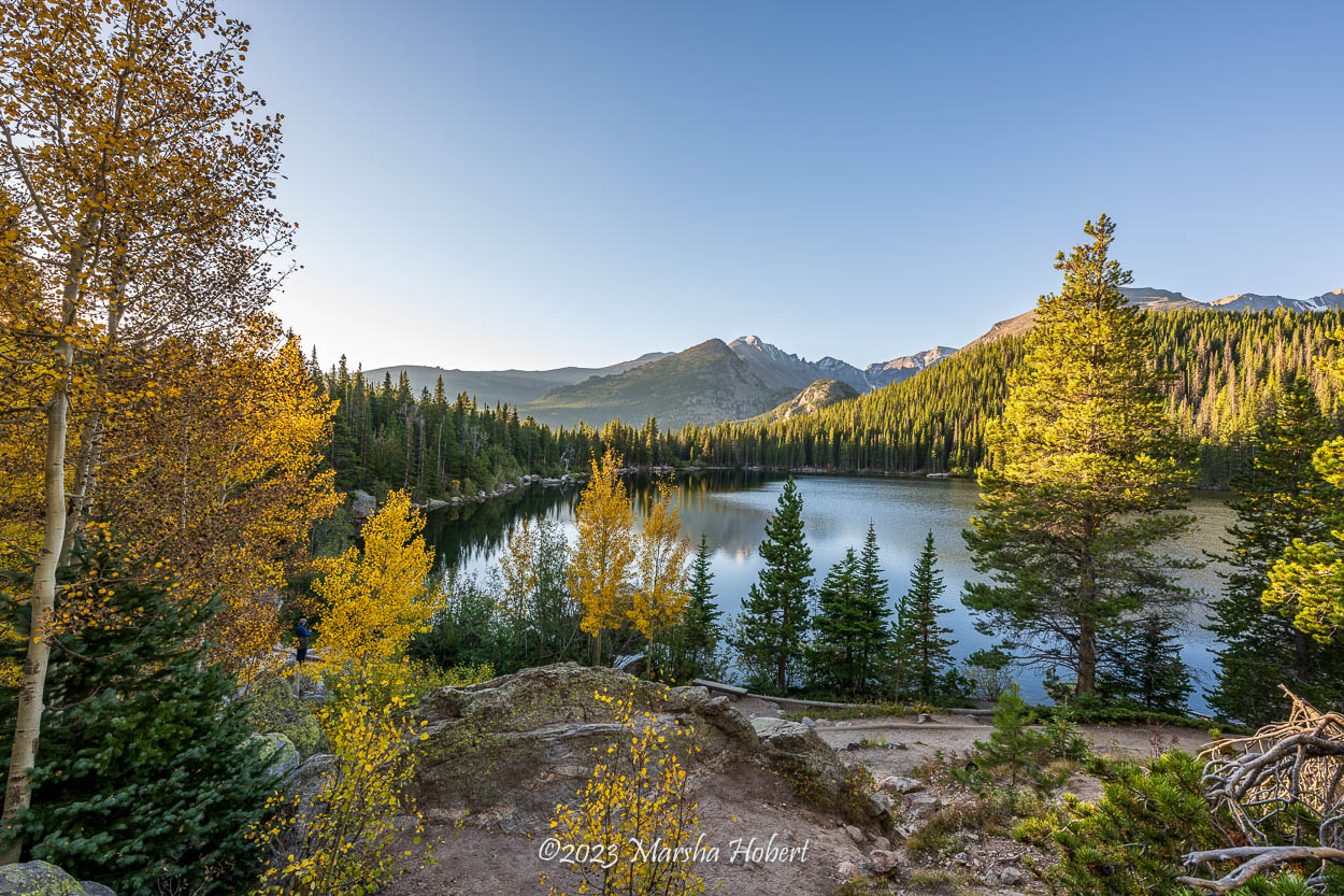 fall colors in rmnp_2023.jpg