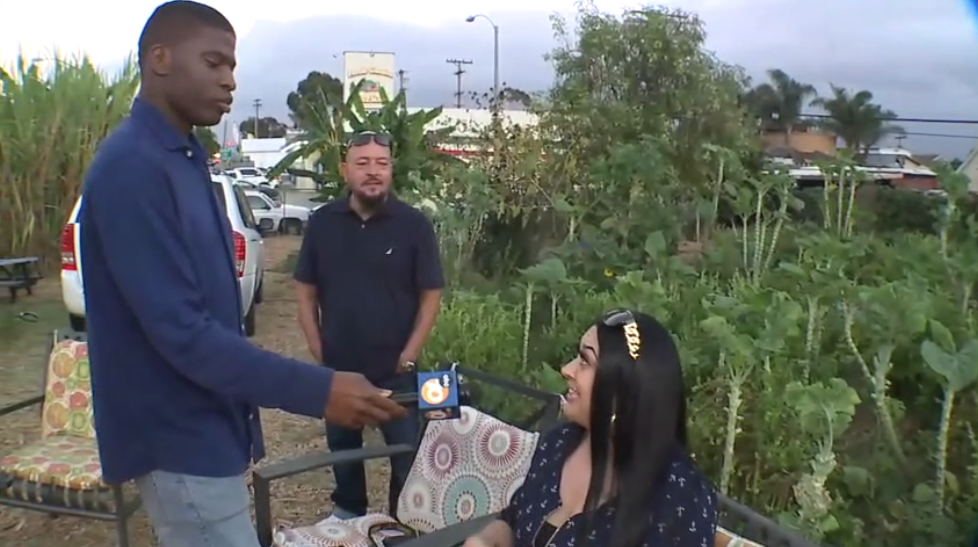 wale interview with community gardens folks