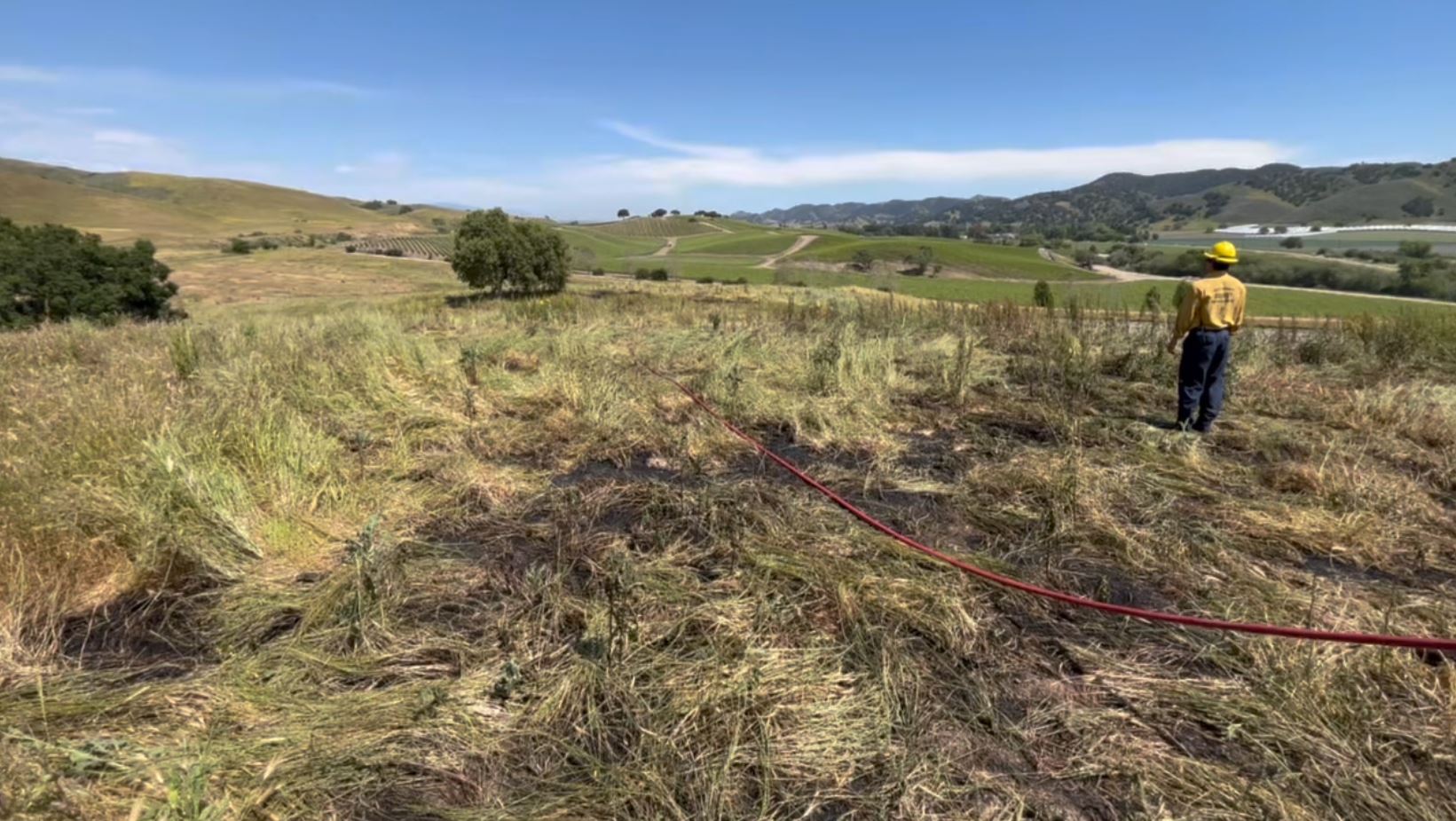 Los Alamos grass fire.JPG
