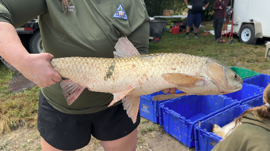 Screenshot 2025-09-09 at 6.13.01 PM.png