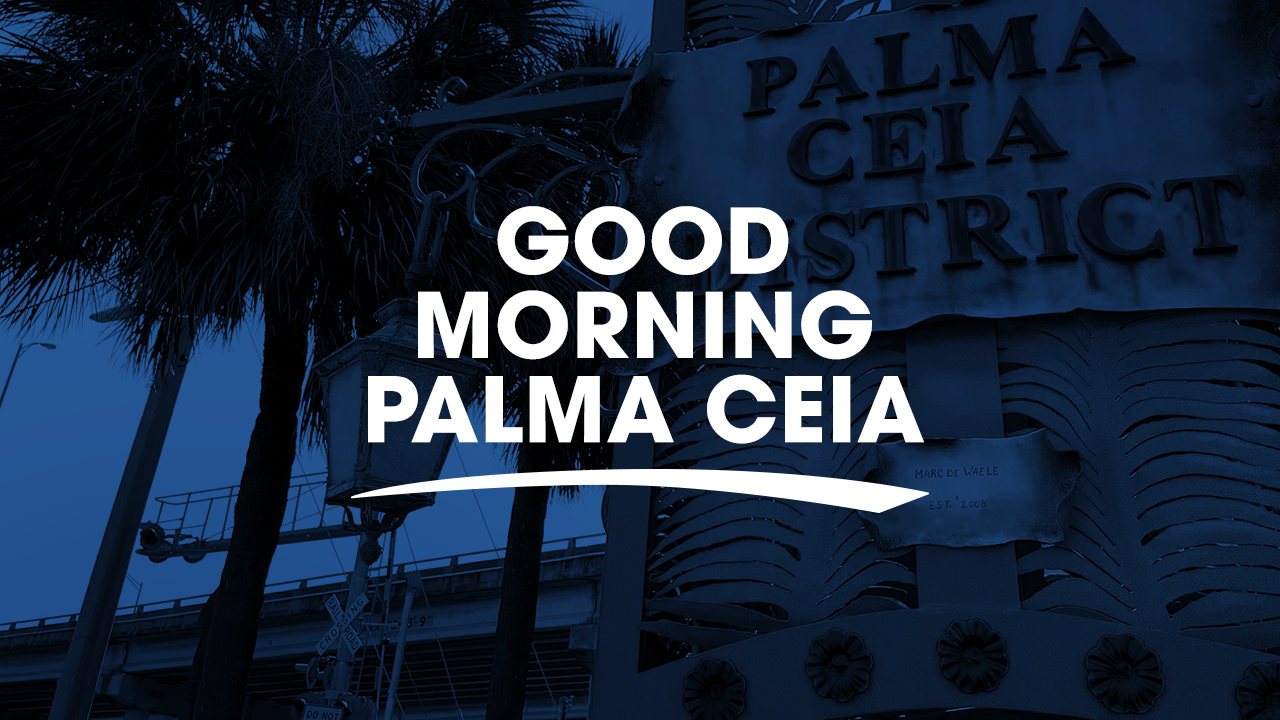 good morning palma ceia.png