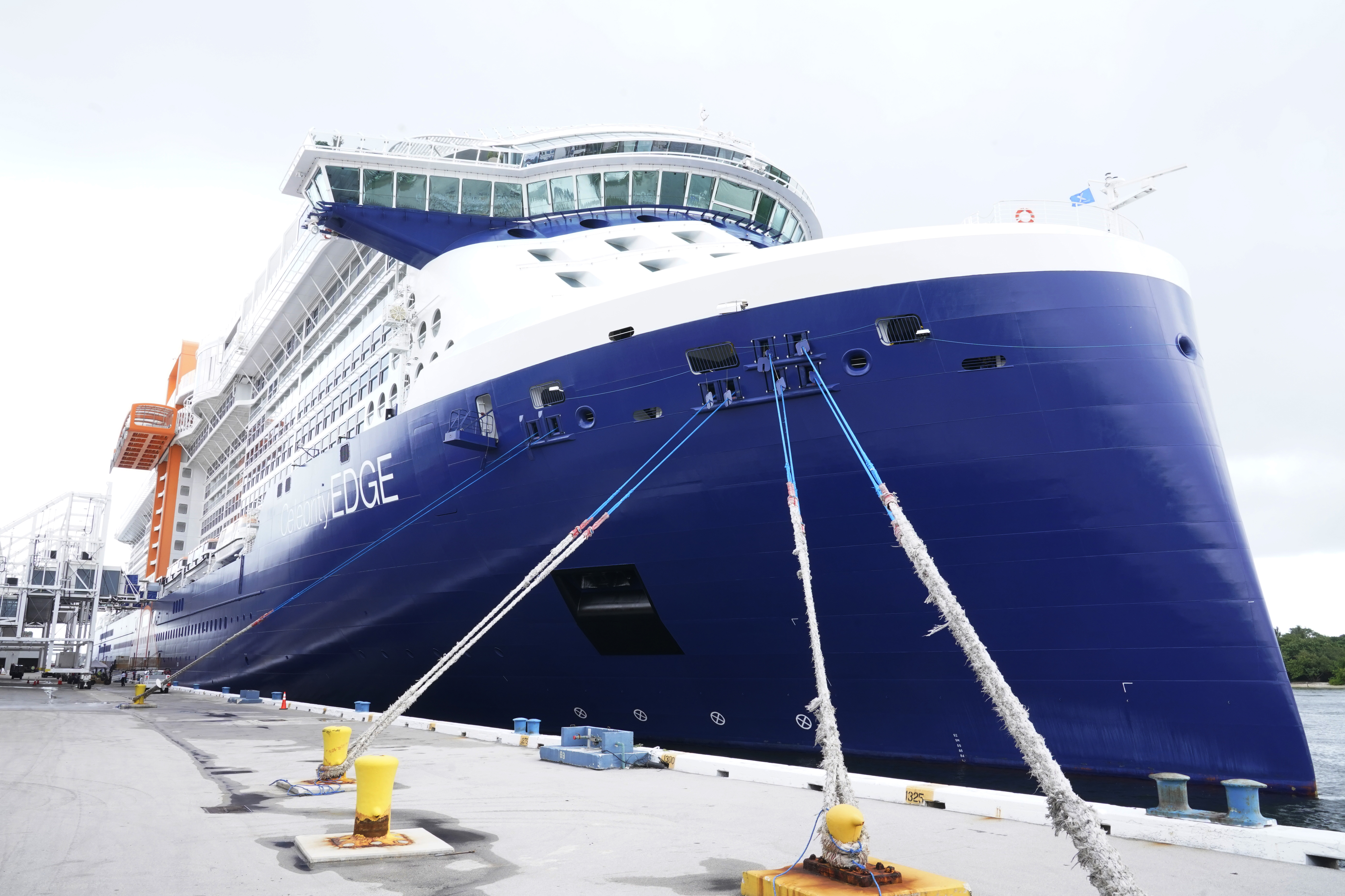 Virus Outbreak Cruise