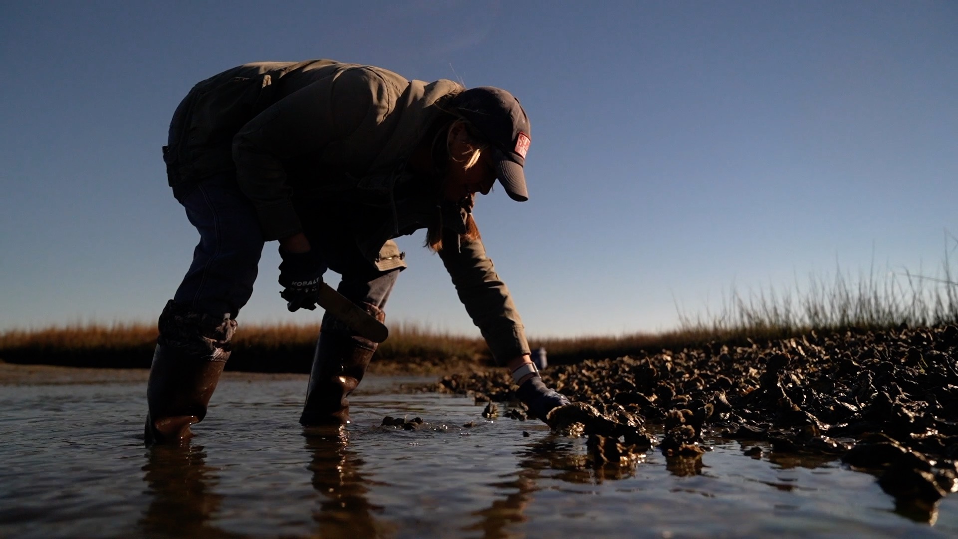 Women affecting commercial fishing 
