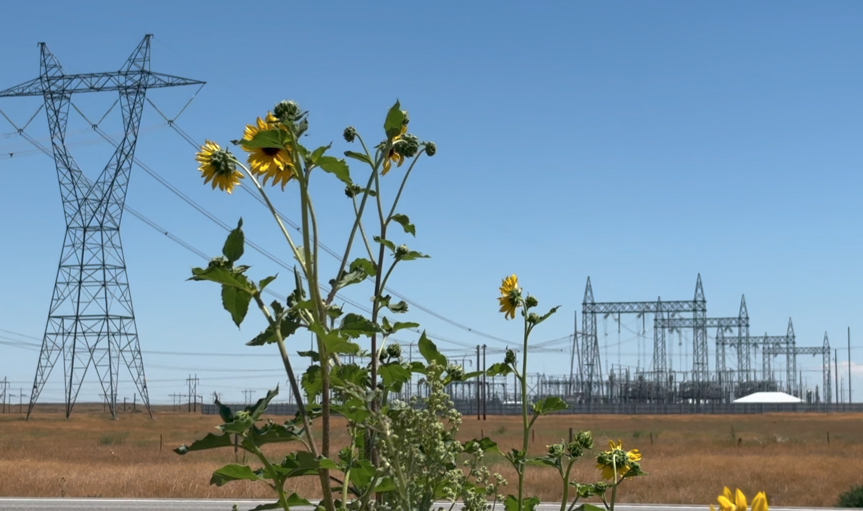 Jerome County Halts Major Transmission Line Over Missing Documents