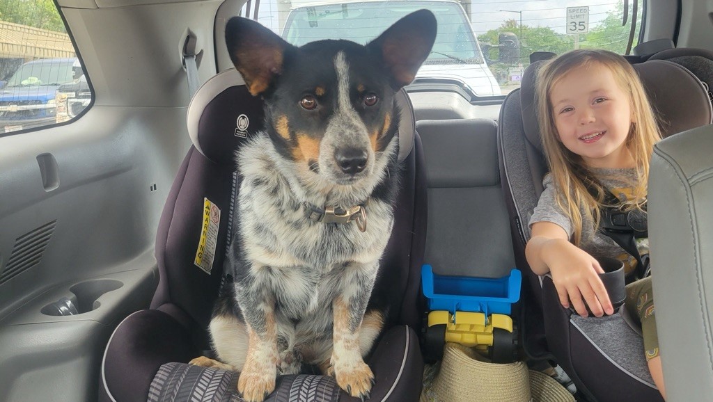 Tato is reunited with his family 