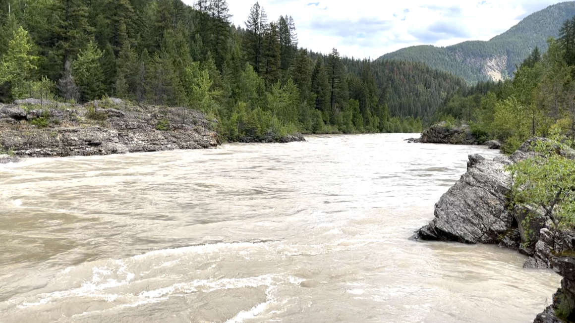 Flathead River