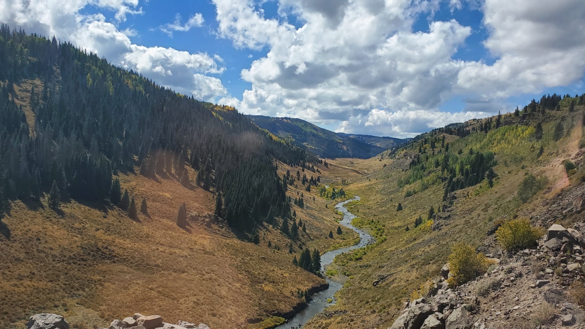 Cascade Creek From The Cumbres and Toltec Railroad in Fall