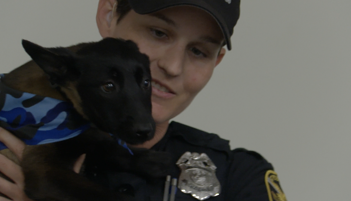st pete officer recieves puppy (2).png