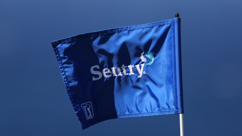 sentry flag.jpeg