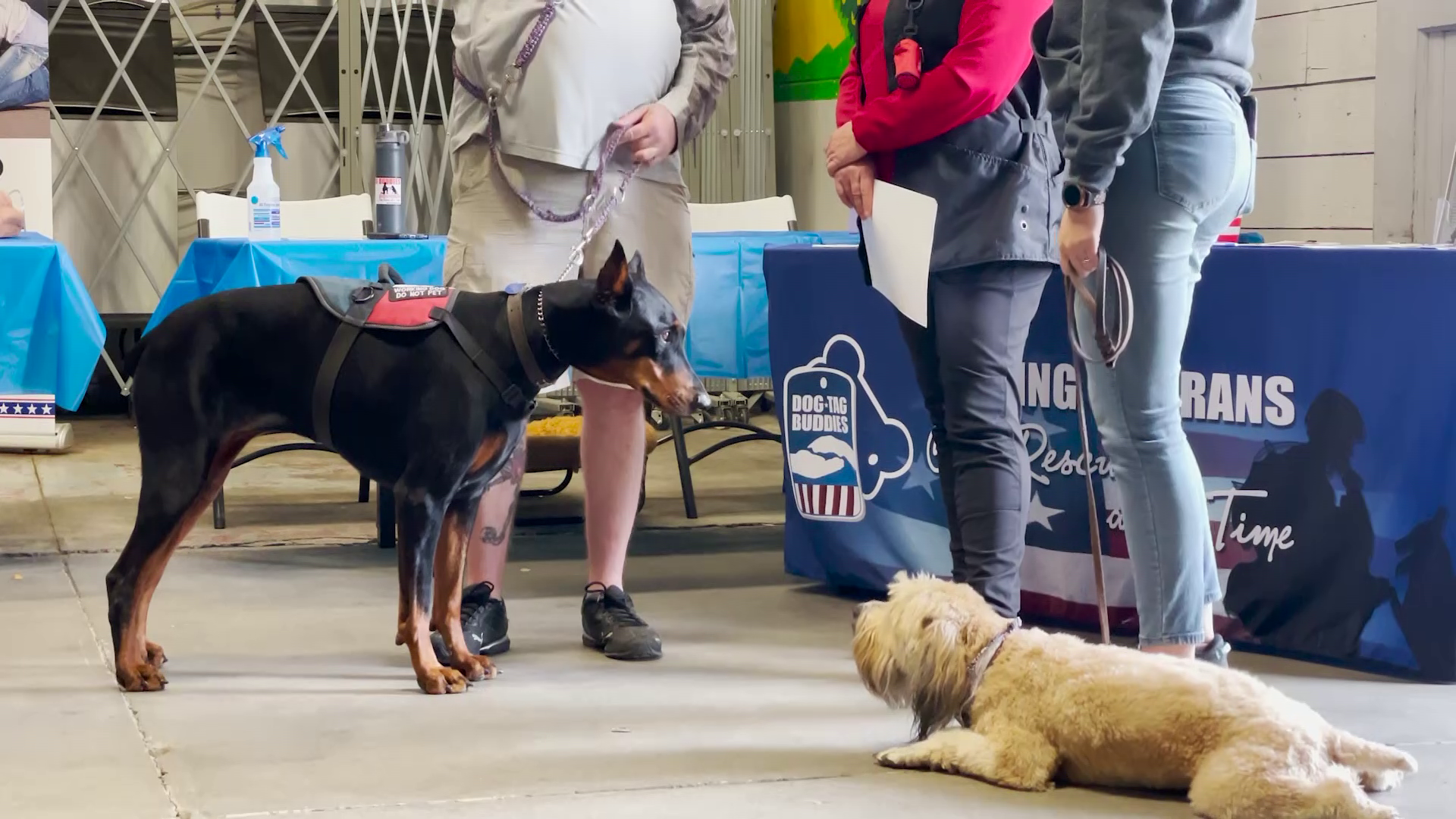 What's the difference between an Emotional Support Animal and a Service Animal?