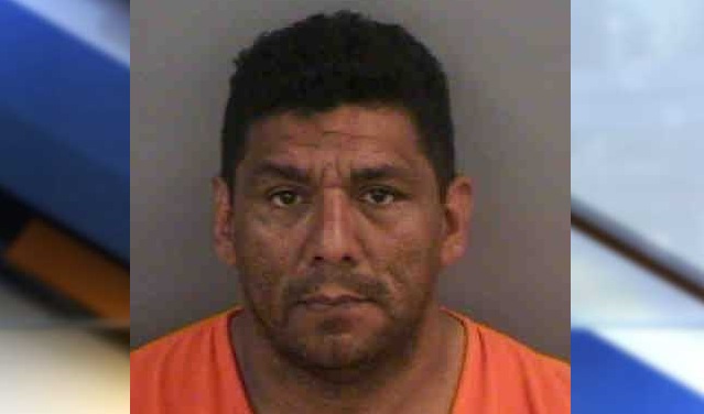 Jose Amaya.jpg