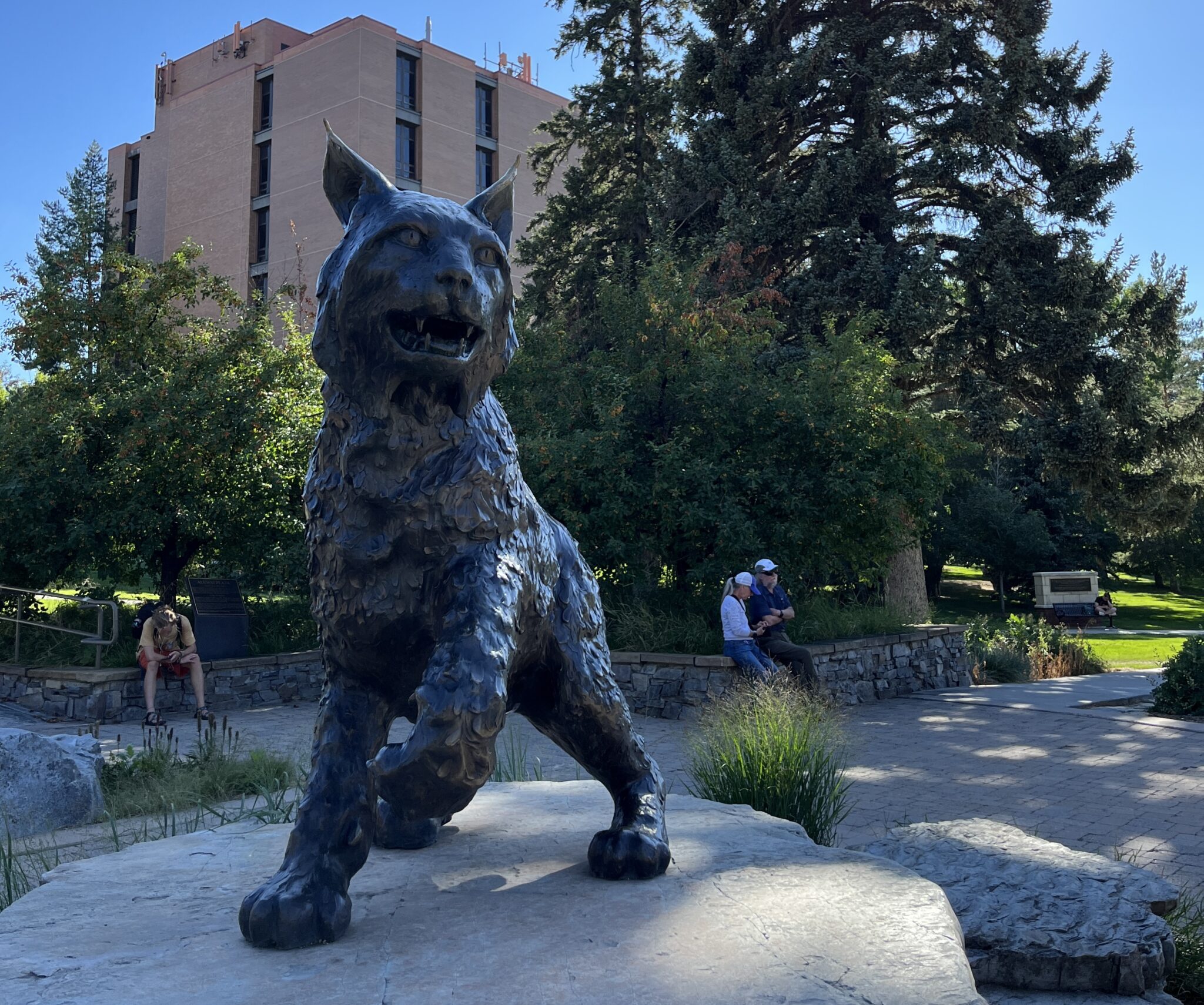 Montana State faces second Office for Civil Rights discrimination investigation - Vimarsana News