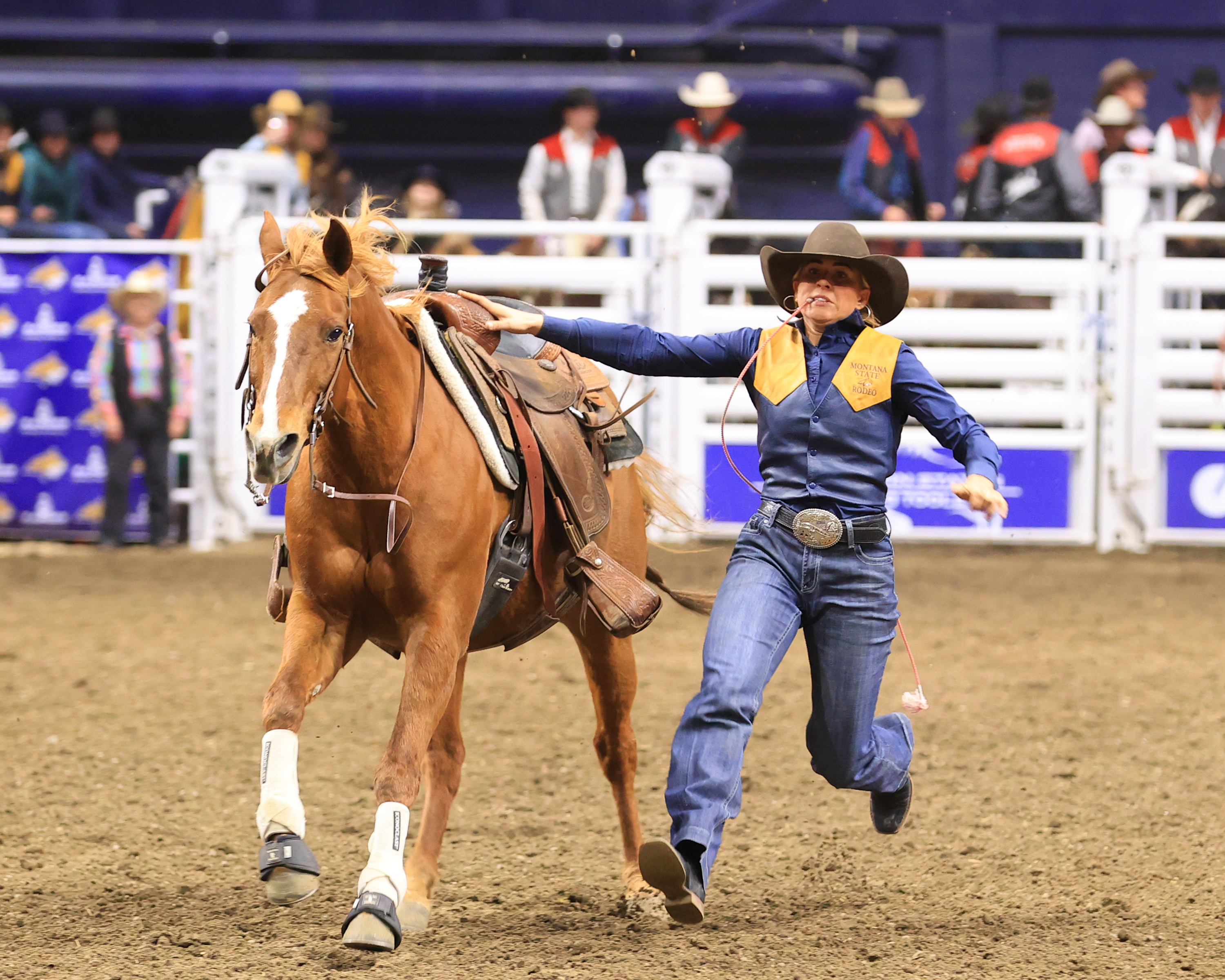 Montana State Spring Rodeo