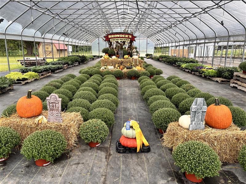 Browder's Fresh Pickins