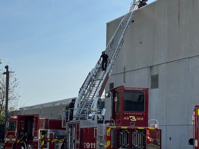 Culloden Street roof rescue