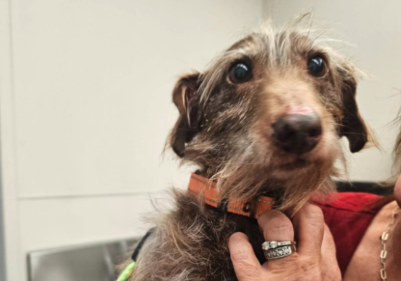 Screenshot 2025-12-05 at 2.54.35 PM.png