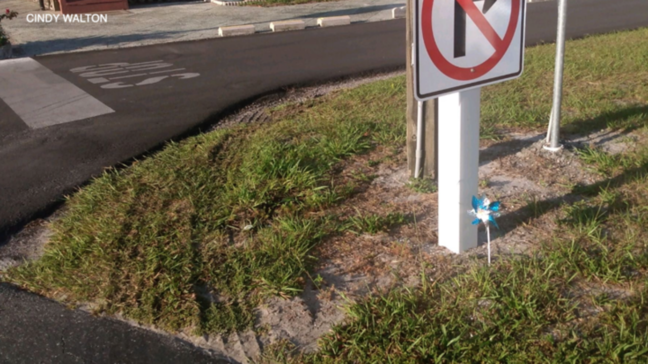 zephyrhills grass.png