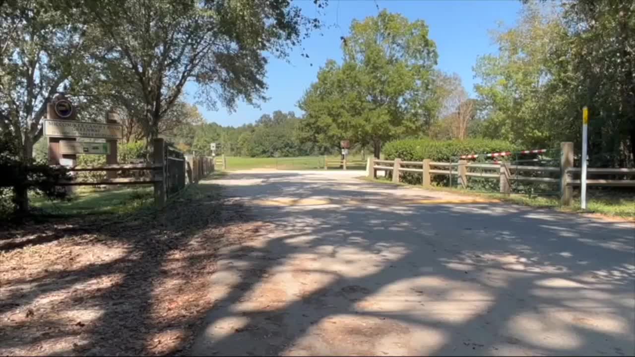 14-year-old hit-killed by car