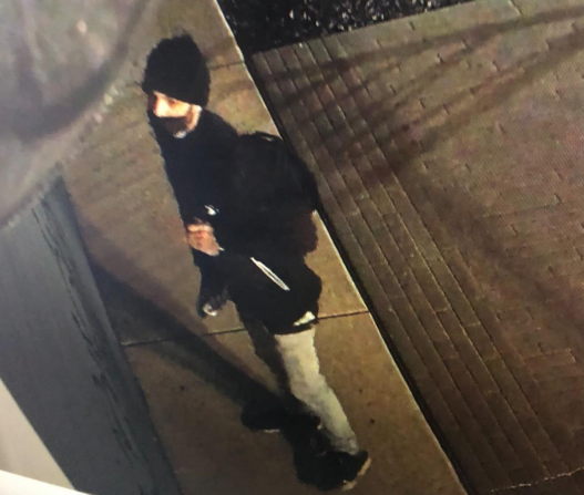 March 4 burglary and vandalism suspect - Kalamazoo
