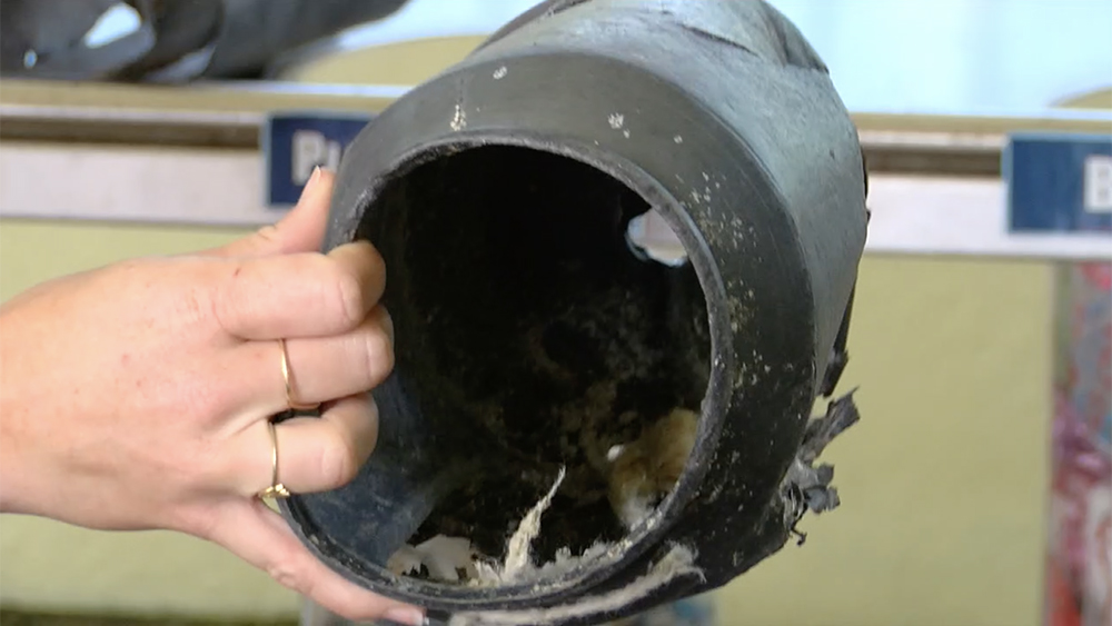 WPTV-JUNO-BEACH-OCTOPUS-TRAP.jpg
